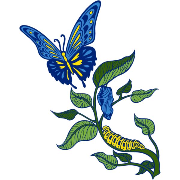 es3butterfly05clr Thumbnail