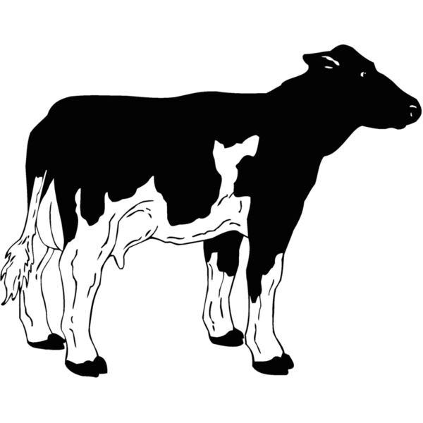 cow3 Thumbnail