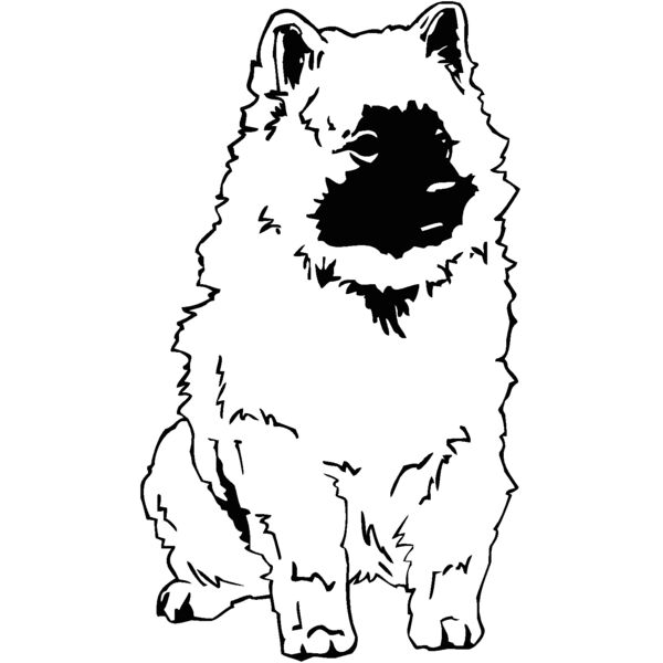 keeshond Thumbnail