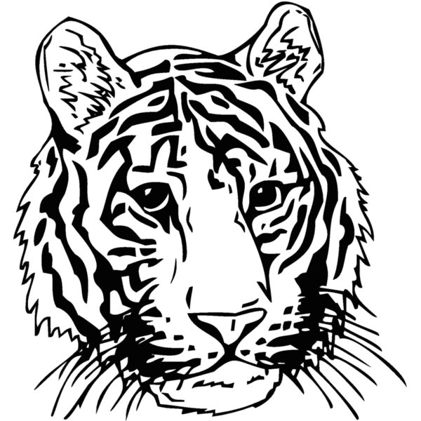 tigerhead01 Thumbnail