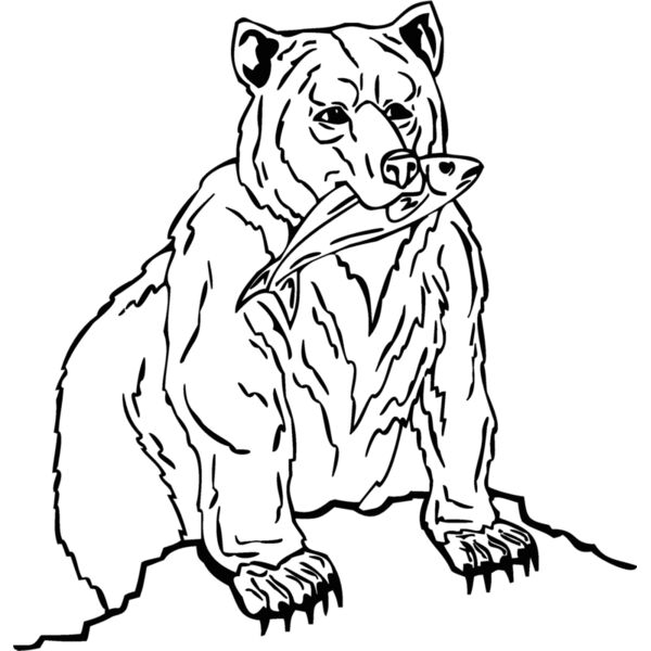 bearwithfish Thumbnail