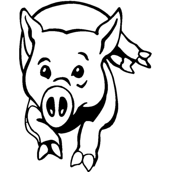 pig Thumbnail