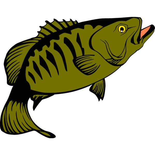 smallmouthbass Thumbnail