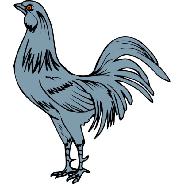 delawarehen1 Thumbnail