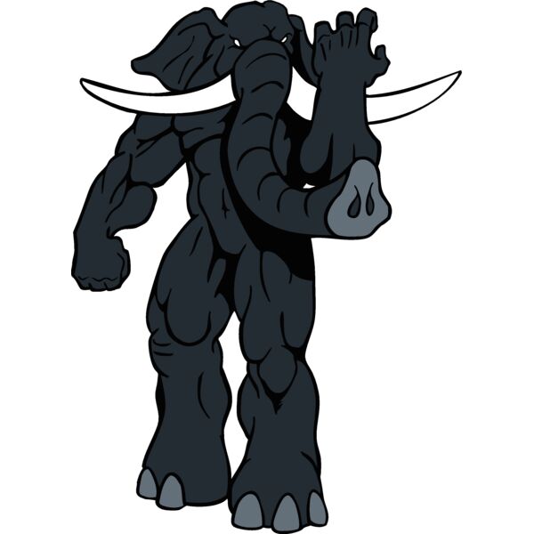 elphntmsct 4 Thumbnail