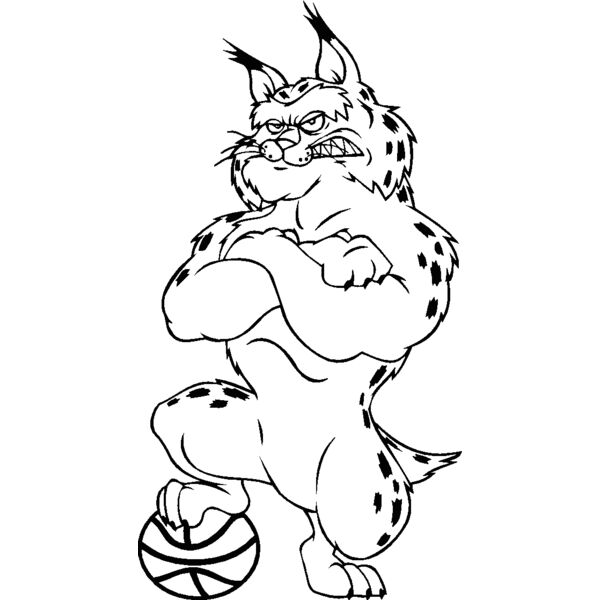 bobcatbskblbns Thumbnail