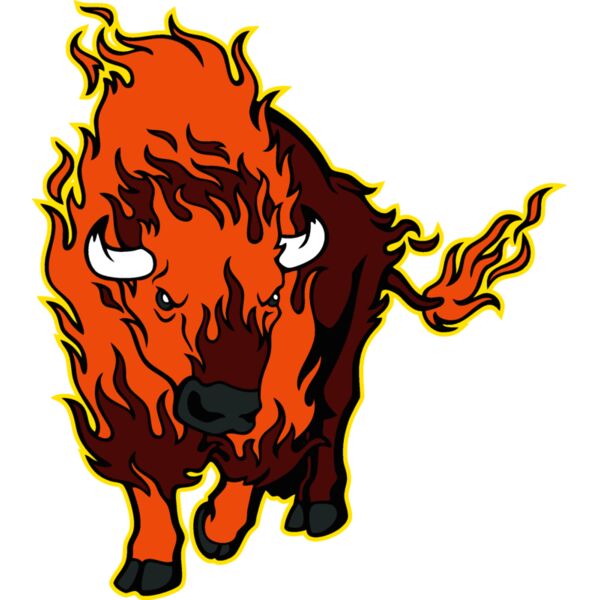 flaming bison 1 Thumbnail