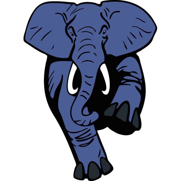 elephantmsct4 Thumbnail