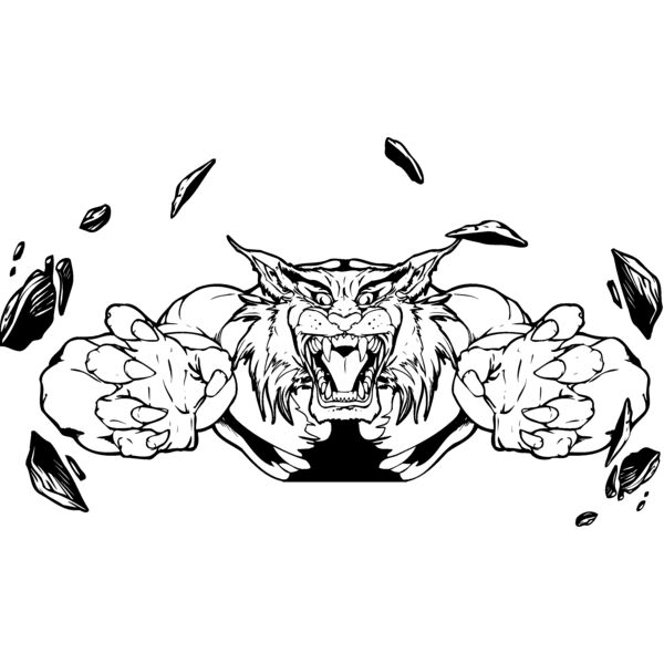 bobcat wildcat busting out Thumbnail