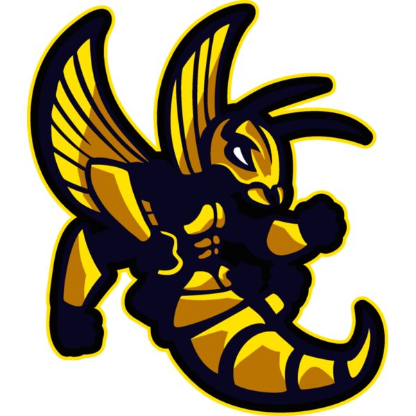 hornets011 Thumbnail