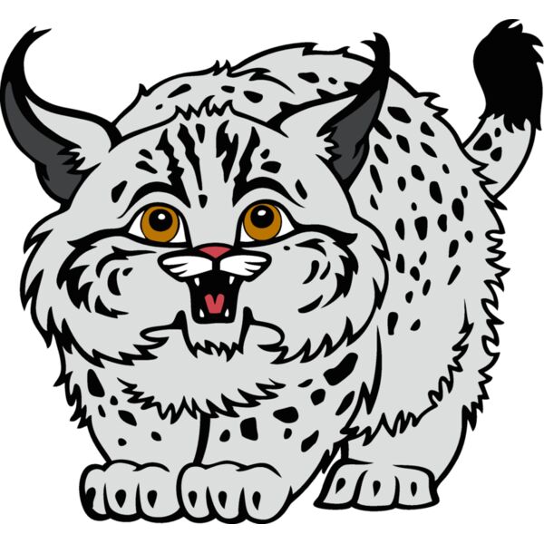 wildcat12v4clr Thumbnail