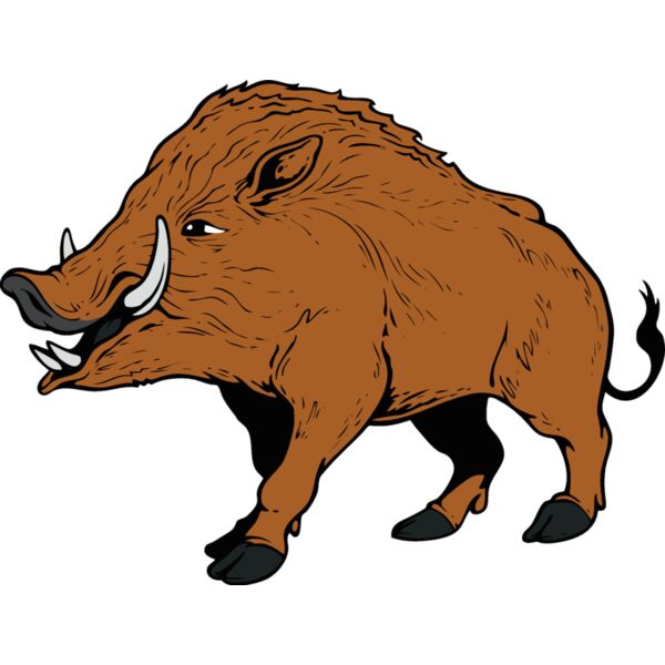 razorback01v4clr Thumbnail