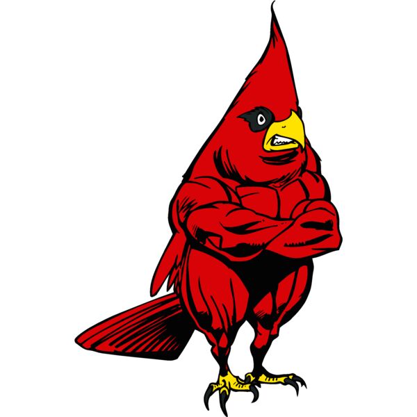 cardinalmn2 Thumbnail